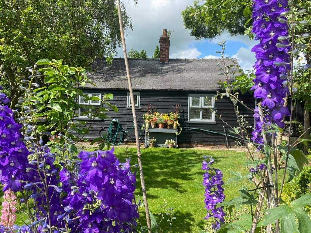 Thompsons Cottage Beverley Esterno foto