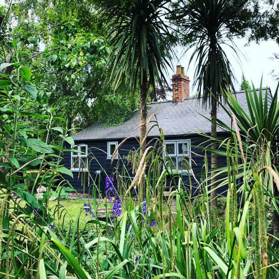 Thompsons Cottage Beverley Esterno foto